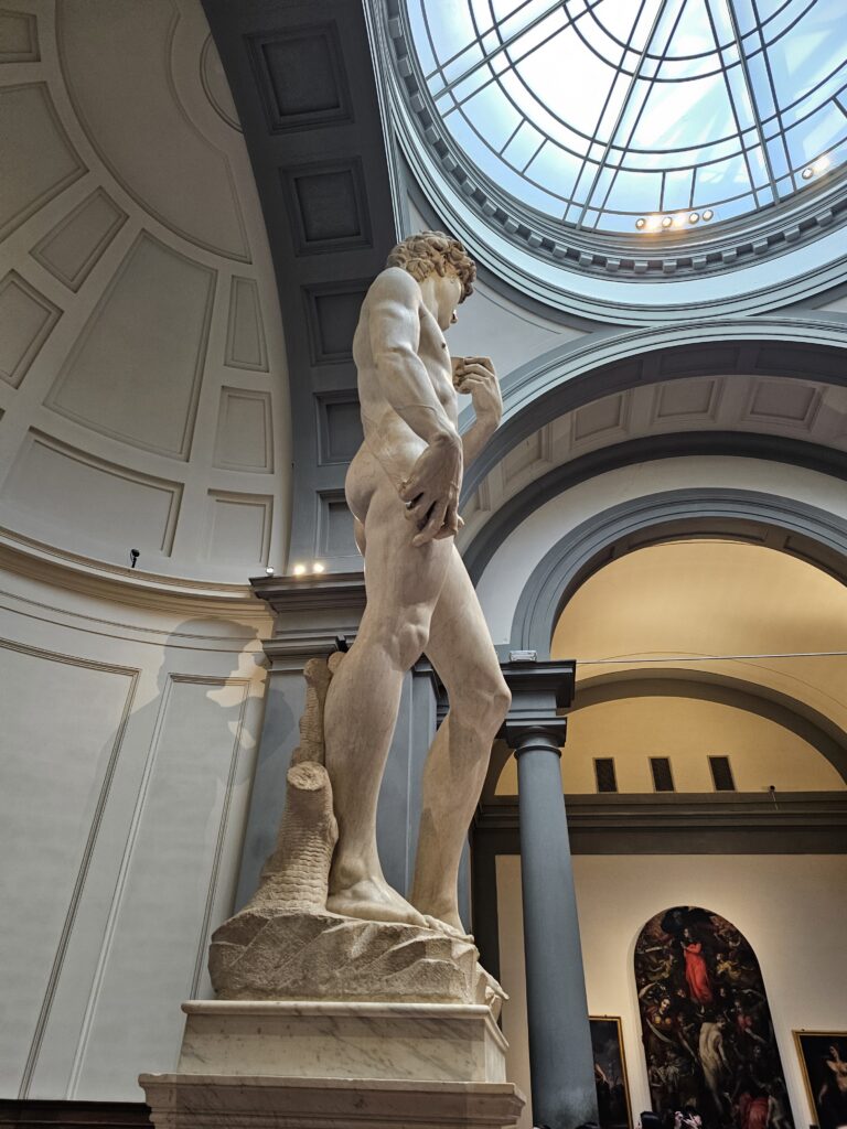 david (2)