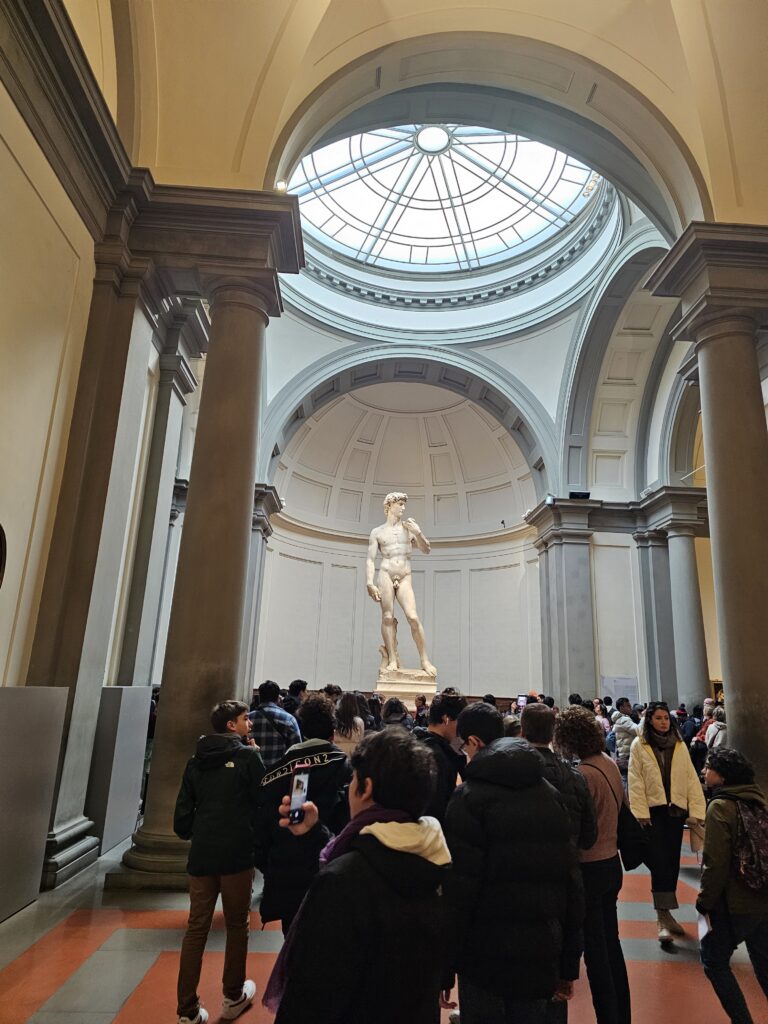 david