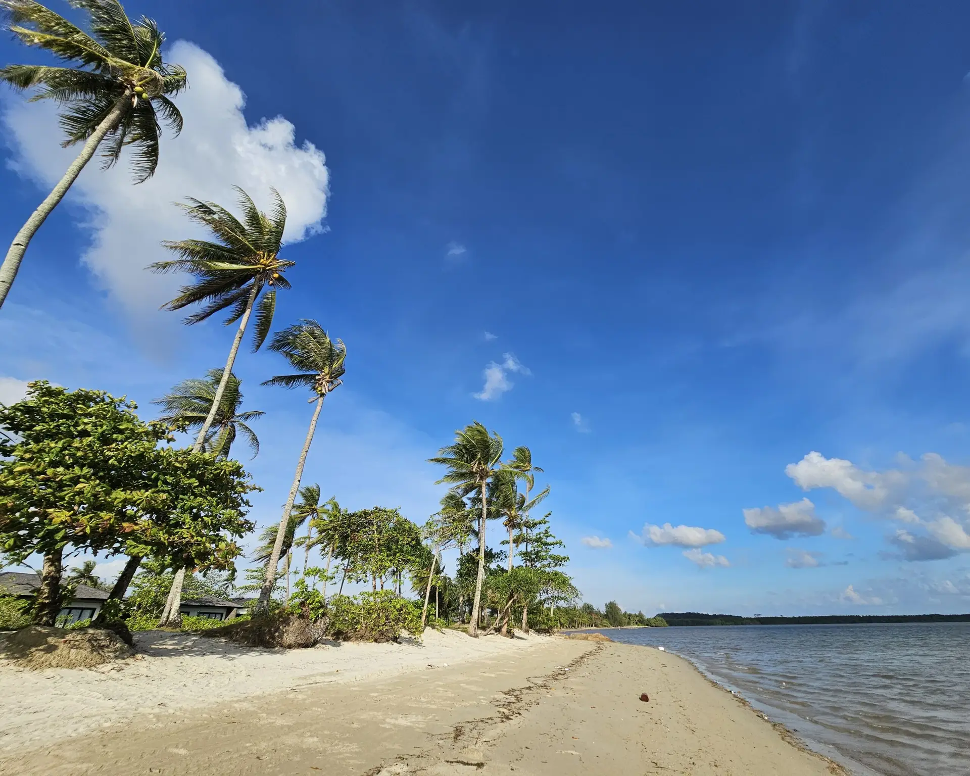 bintan resindent