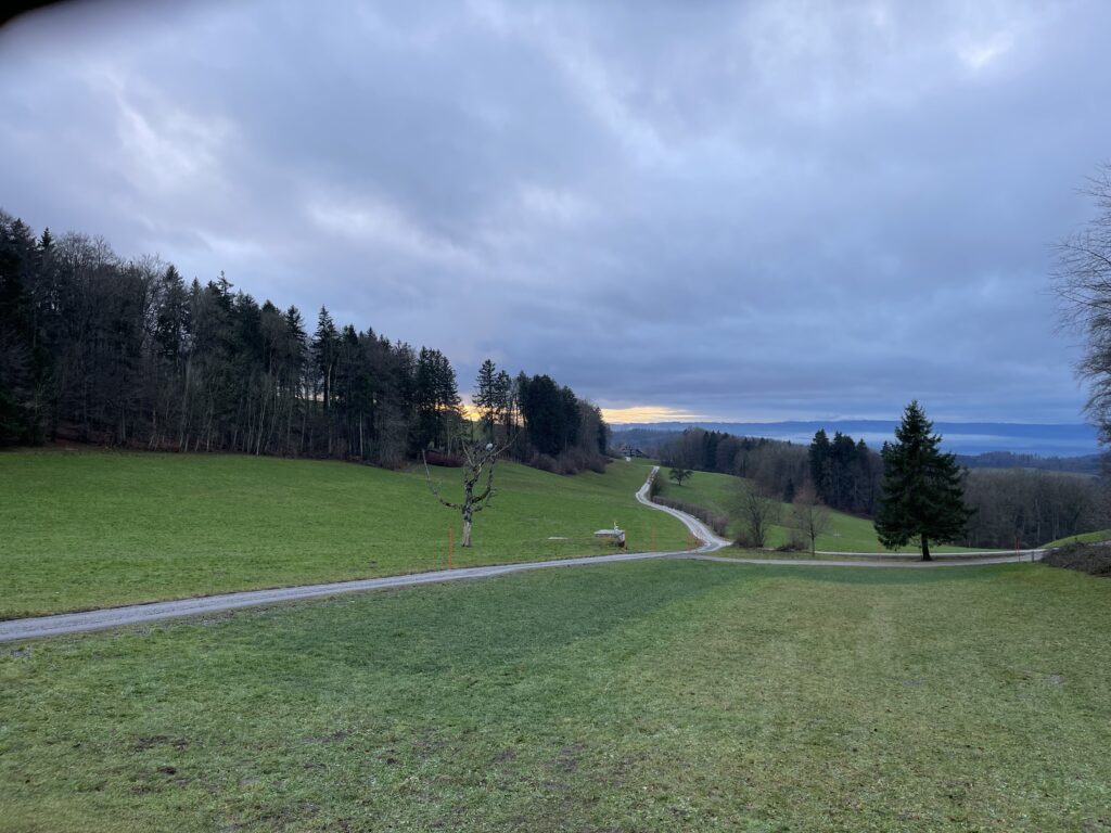 view from felsenegg