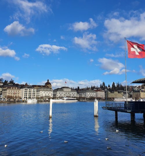lucerne (2)